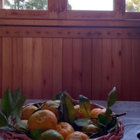 Cabana De Campo Cafe Da Manha Sitio Da Serrinha 邦雷蒂鲁 外观 照片