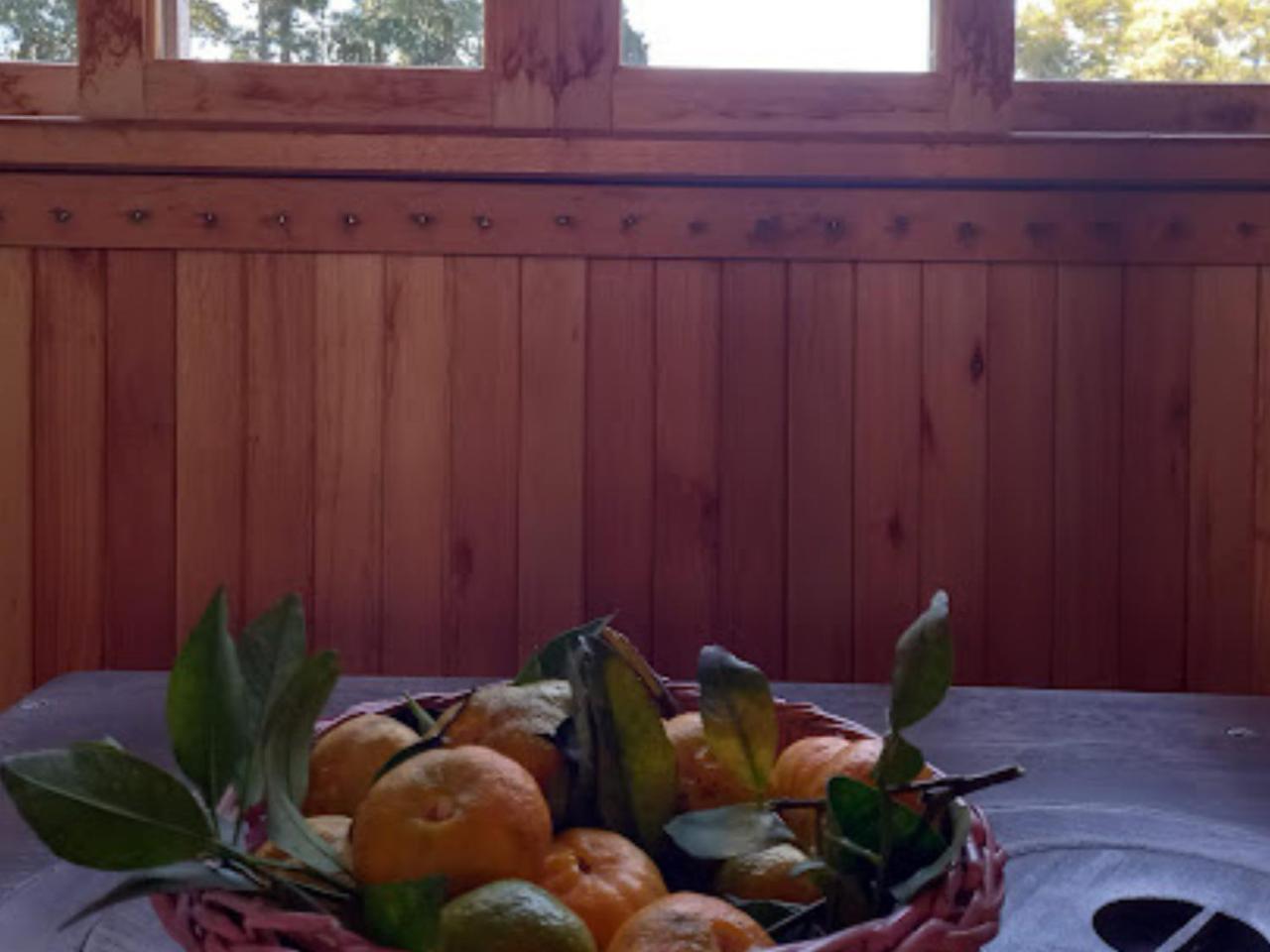Cabana De Campo Cafe Da Manha Sitio Da Serrinha 邦雷蒂鲁 外观 照片